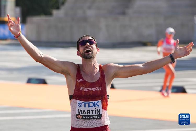 米兰体育网页版登录入口-西班牙选手发挥可圈可点，获得银牌的简单介绍